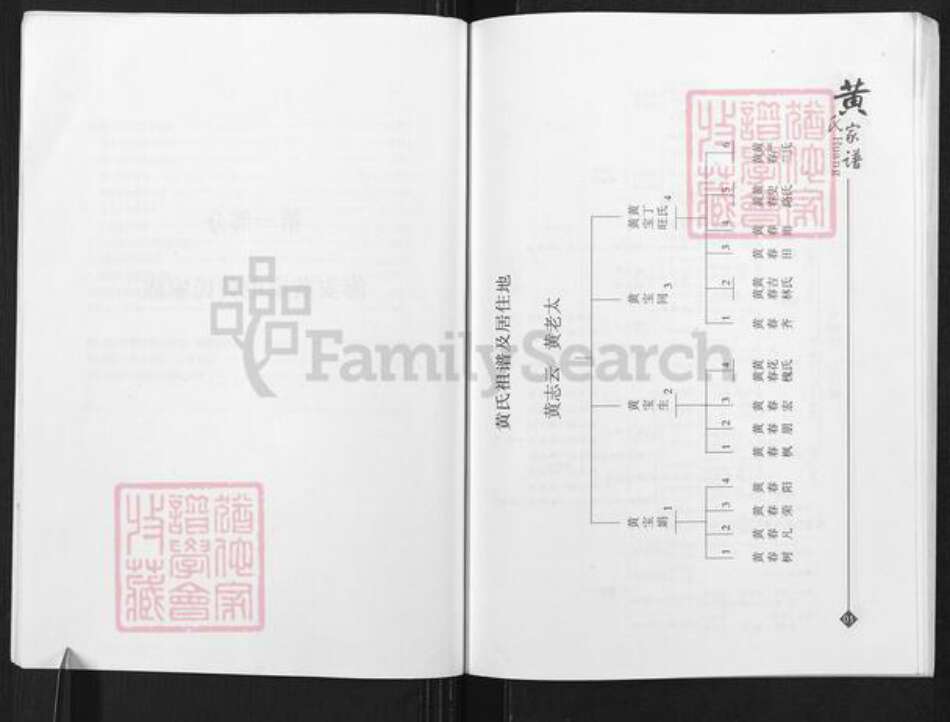 江苏省南通市海安市西城街道马氏族谱-海安马氏家谱.pdf电子版预览图5