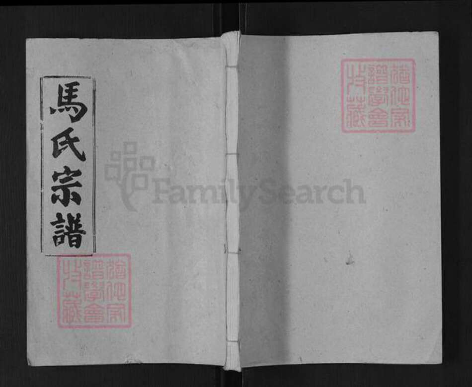 湖北省仙桃市沔城回族镇马氏绛帐堂族谱-马氏宗谱.pdf电子版缩略图