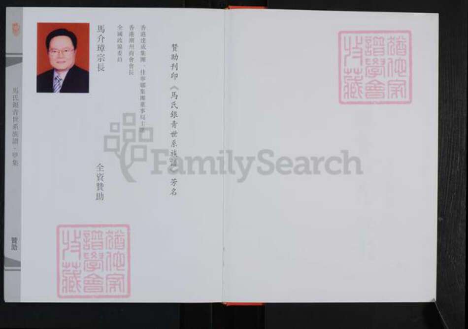 江西省景德镇市乐平市众端口镇马氏族谱-马氏银青世系族谱.pdf电子版预览图2