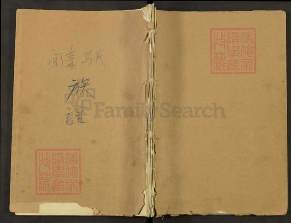 山西省运城市闻喜县神柏乡马氏族谱-马氏族谱.pdf电子版缩略图