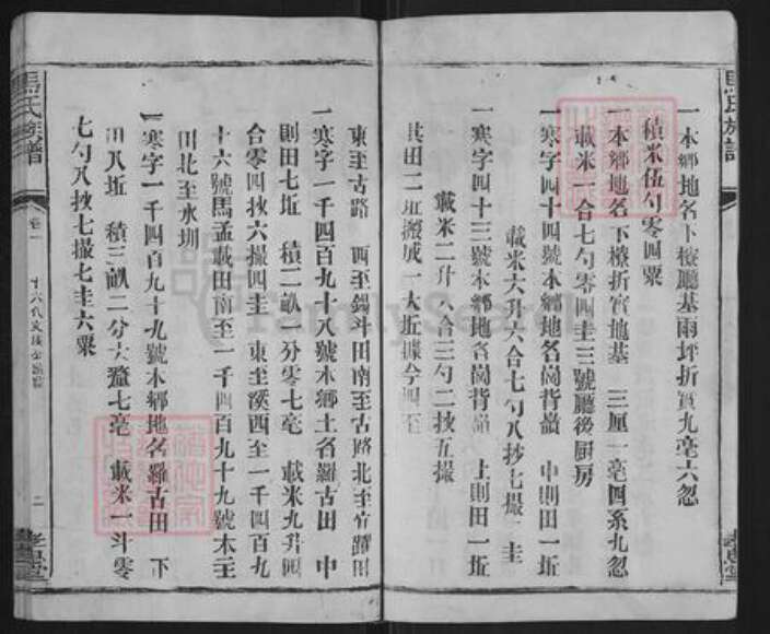 福建省龙岩市连城县四堡乡马氏孝思堂族谱-马氏大宗族谱.pdf电子版预览图2