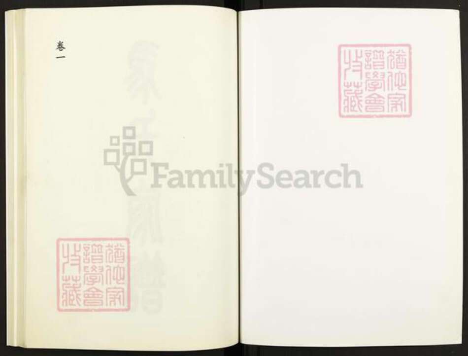 山东省泰安市岱岳区马氏族谱-马氏家谱.pdf电子版预览图1