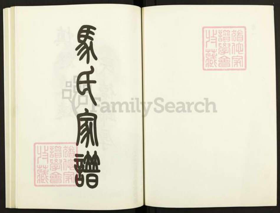 山东省泰安市岱岳区马氏族谱-马氏家谱.pdf电子版预览图2