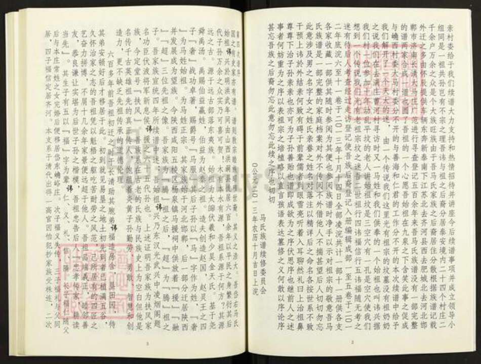 山东省泰安市岱岳区马氏族谱-马氏家谱.pdf电子版预览图5