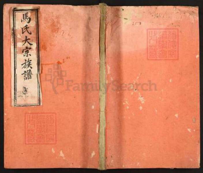 福建省龙岩市长汀县马氏孝忠堂族谱-马氏大宗族谱.pdf电子版缩略图