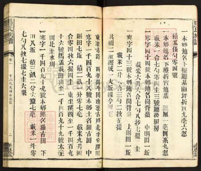 福建省龙岩市长汀县马氏孝忠堂族谱-马氏大宗族谱.pdf电子版预览图2