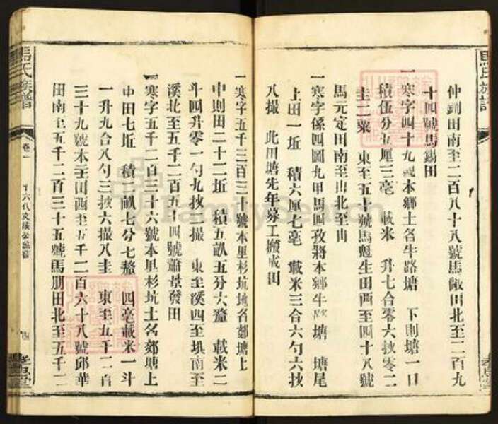 福建省龙岩市长汀县马氏孝忠堂族谱-马氏大宗族谱.pdf电子版预览图4