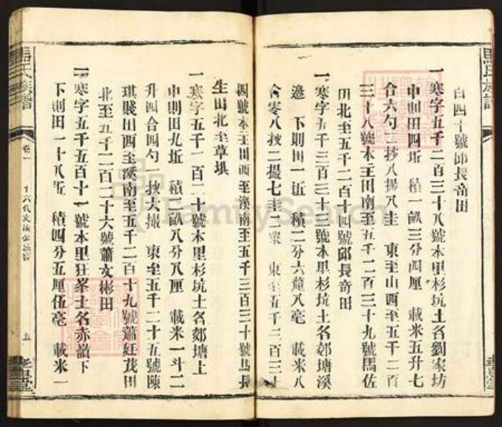 福建省龙岩市长汀县马氏孝忠堂族谱-马氏大宗族谱.pdf电子版预览图5