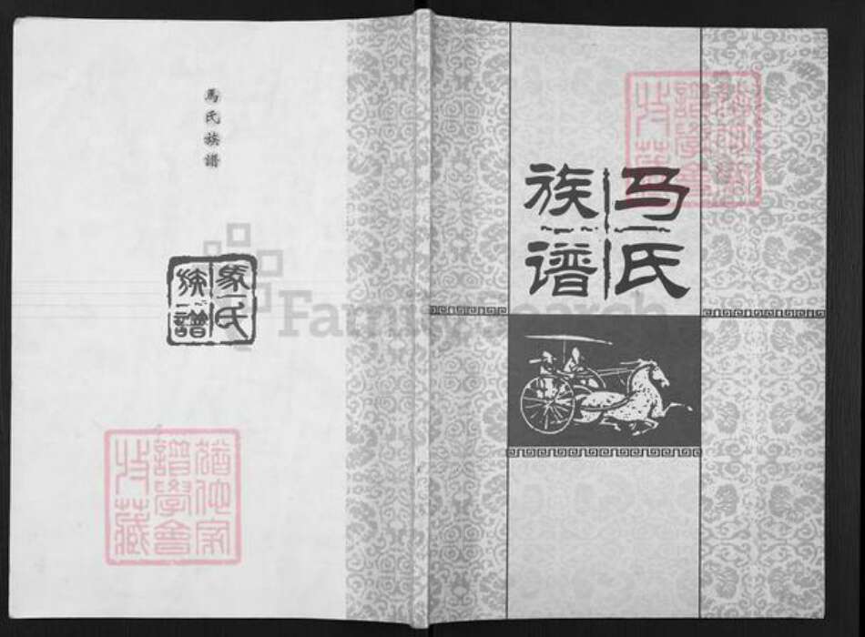 山东省济南市平阴县玫瑰镇马氏族谱-马氏族谱.pdf电子版缩略图