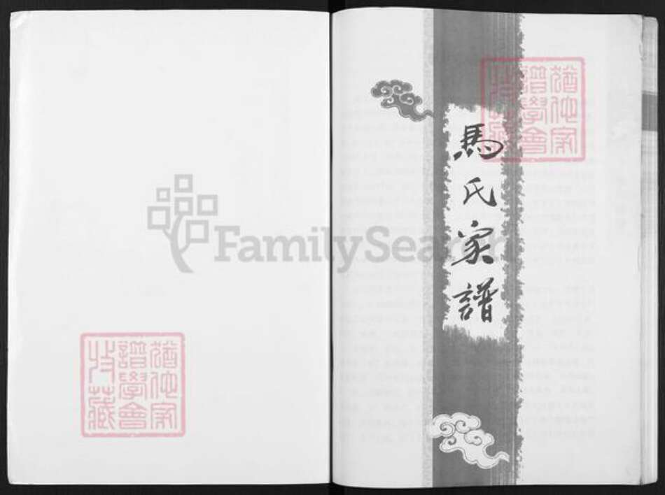 山东省济南市平阴县玫瑰镇马氏族谱-马氏族谱.pdf电子版预览图1