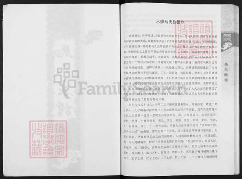 山东省济南市平阴县玫瑰镇马氏族谱-马氏族谱.pdf电子版预览图2