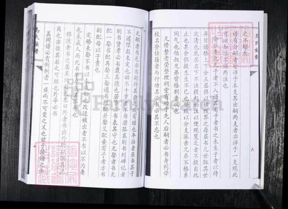 山东省青岛市即墨区马氏族谱-马氏族谱.泉温张村.pdf电子版预览图5