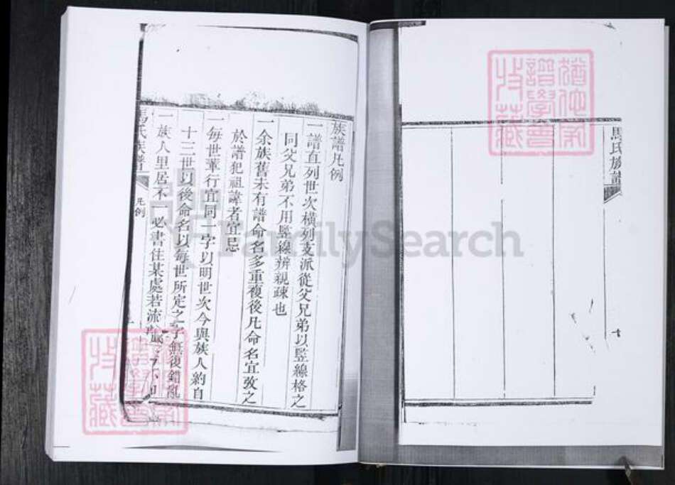 山东省青岛市马氏族谱-马氏族谱.王宿庄.pdf电子版预览图4