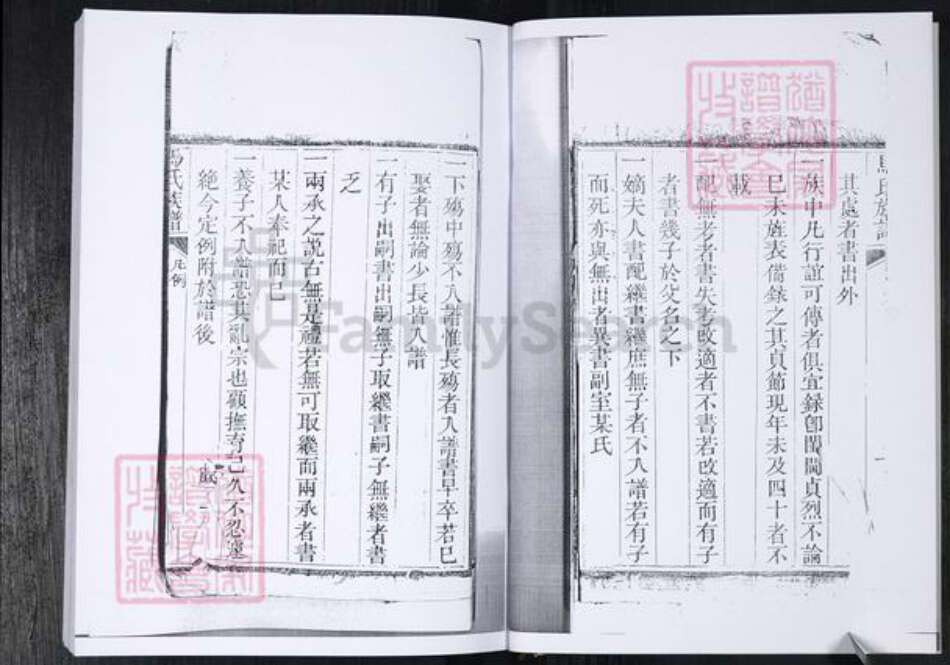 山东省青岛市马氏族谱-马氏族谱.王宿庄.pdf电子版预览图5