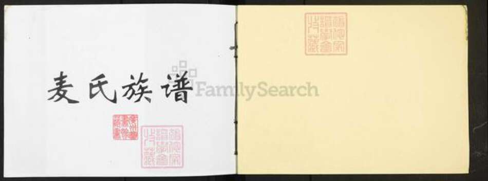 广东省东莞市长安镇麦氏族谱-麦氏族谱.pdf电子版预览图1