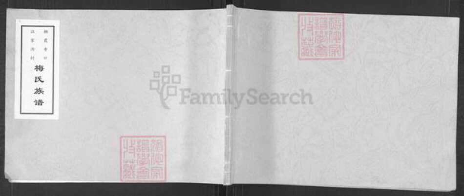 山东省烟台市栖霞市寺口镇梅氏族谱-栖霞寺口汪家沟村梅氏族谱.pdf电子版缩略图