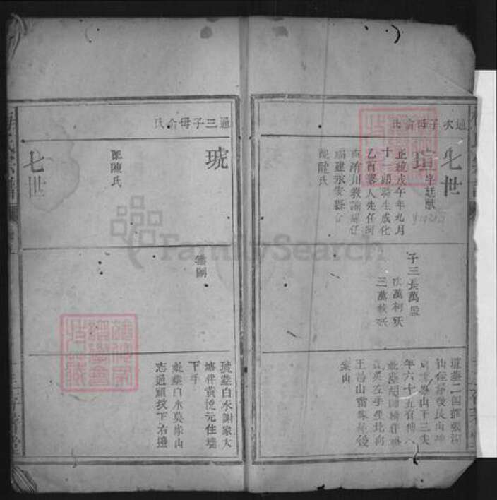 湖北省黄冈市黄州区梅氏乐道堂族谱-梅氏宗谱.pdf电子版预览图2