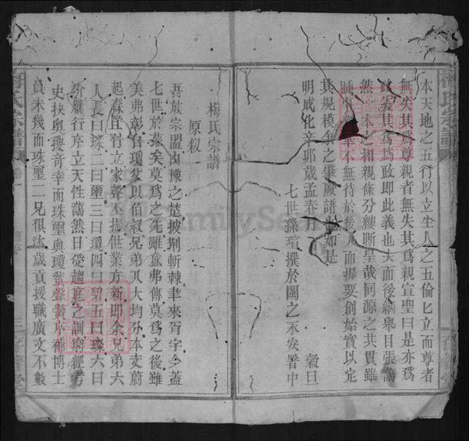 湖北省咸宁市梅氏存普堂族谱-梅氏宗谱.pdf电子版预览图2