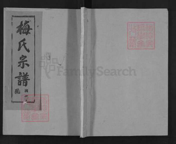 江西省九江市梅氏汝南堂族谱-梅氏宗谱.pdf电子版缩略图