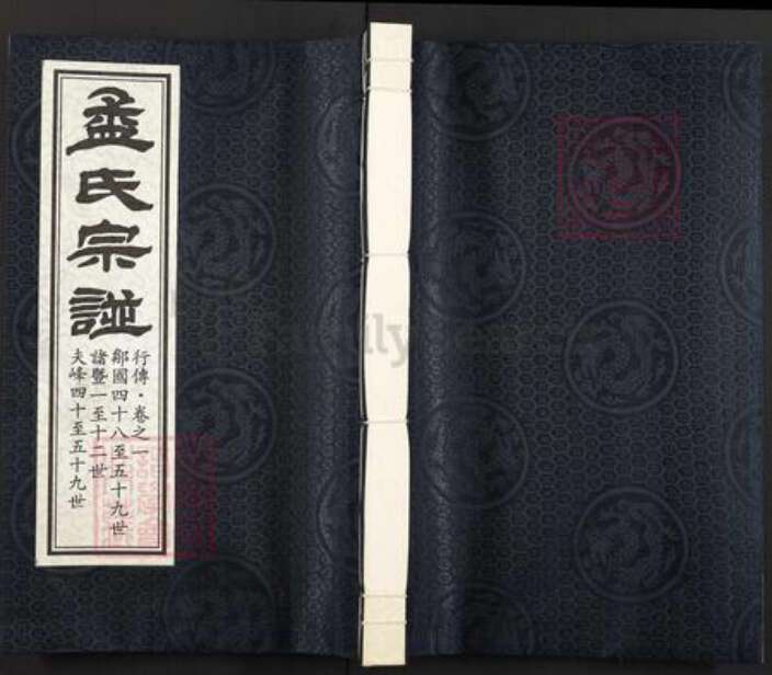 浙江省绍兴诸暨市诸暨孟氏仁寿堂族谱-暨阳孟氏宗谱.pdf电子版缩略图