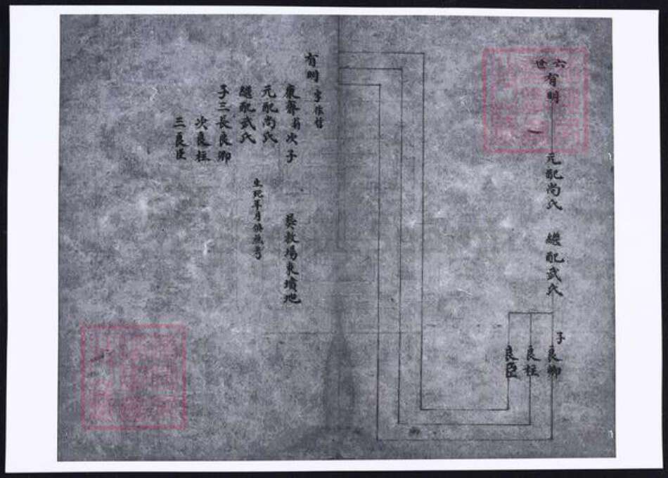 山西省晋中市孟氏族谱-祁县孟氏家谱.pdf电子版预览图2