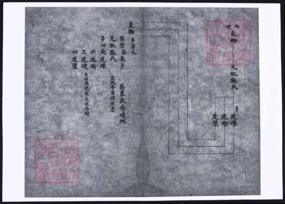 山西省晋中市孟氏族谱-祁县孟氏家谱.pdf电子版预览图3