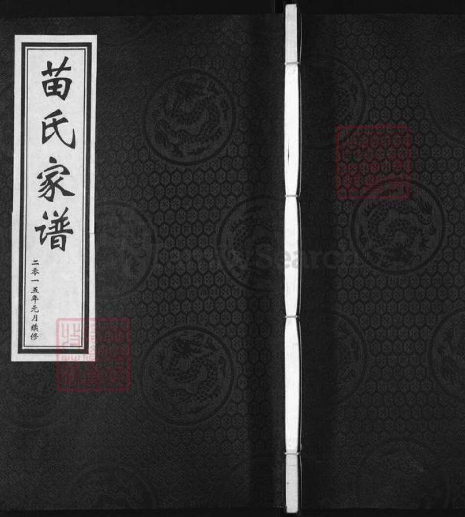 河北省沧州盐山县苗氏族谱-苗氏家谱.pdf电子版