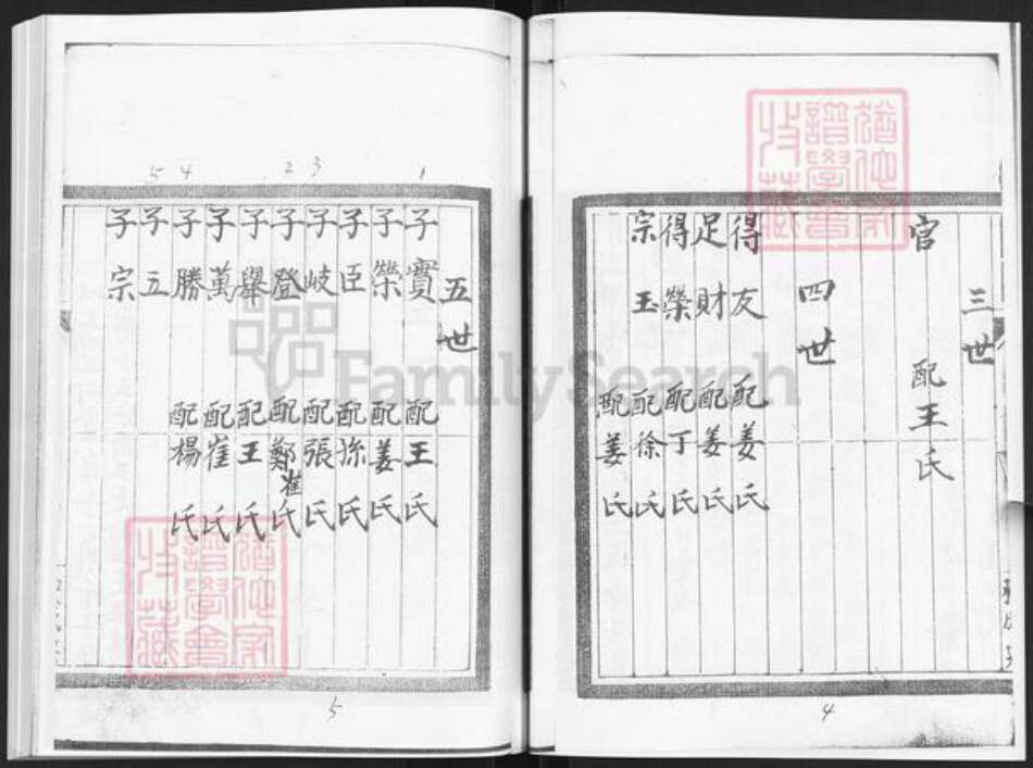 山东省烟台市栖霞市苗氏族谱-栖霞苗家村苗氏二分谱书.pdf电子版预览图5