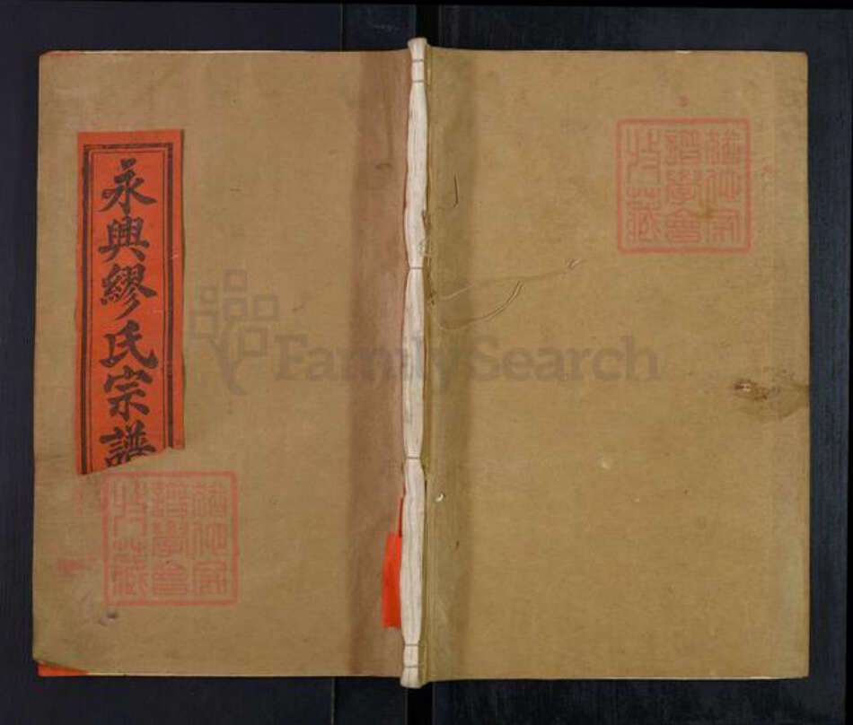 湖南省郴州市永兴县缪氏聚顺堂族谱-永兴缪氏宗谱.pdf电子版缩略图