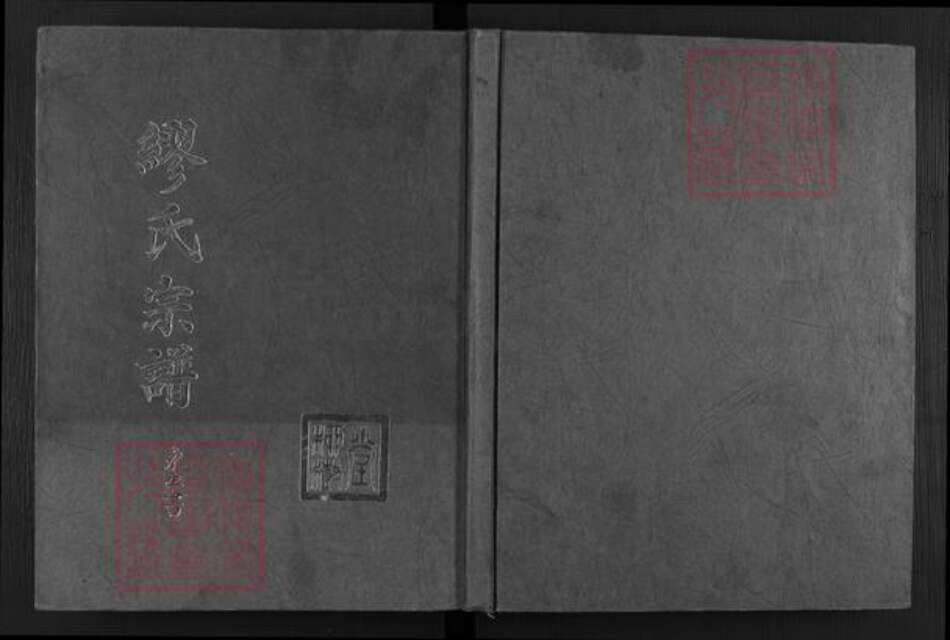安徽省滁州市天长市天长街道缪氏柳树堂族谱-缪氏宗谱.pdf电子版缩略图