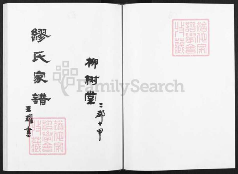 安徽省滁州市天长市天长街道缪氏柳树堂族谱-缪氏宗谱.pdf电子版预览图1
