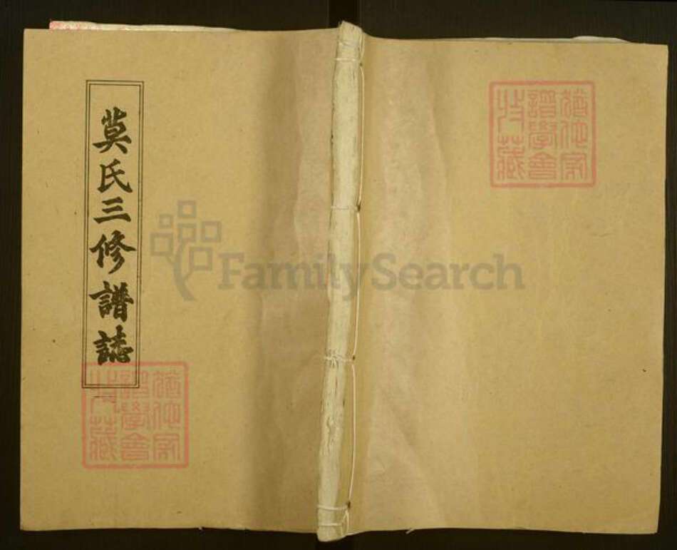 湖南省益阳市桃江县武潭镇莫氏彩凤堂族谱-莫氏三修族谱.pdf电子版缩略图