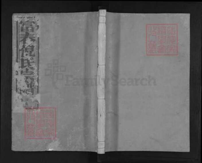 浙江省杭州市富阳灵桥镇镇倪氏锄经堂族谱-富春倪氏宗谱.pdf电子版缩略图