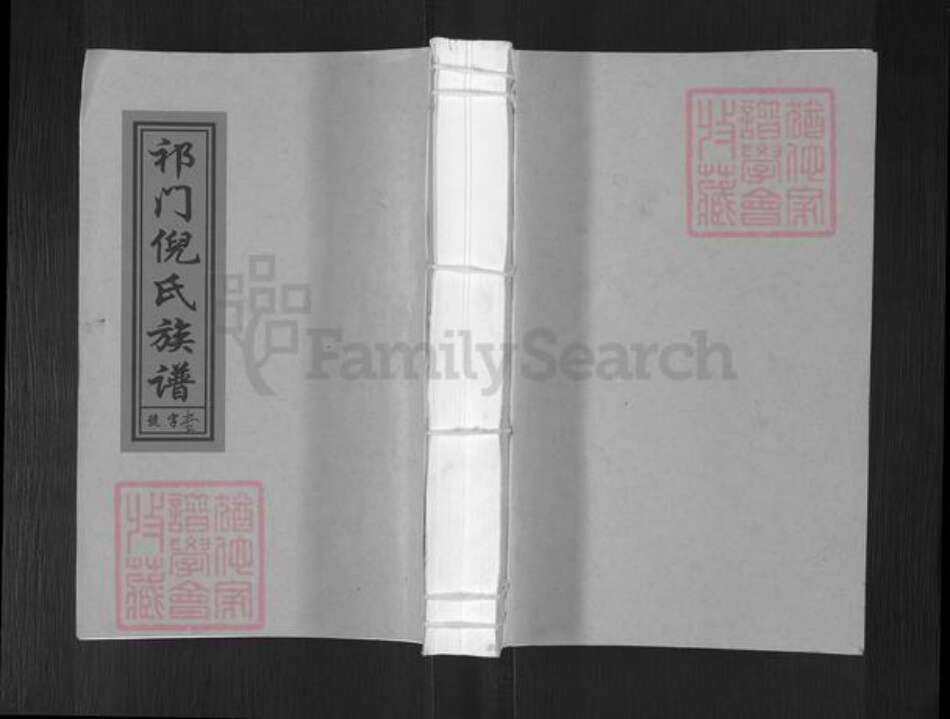 安徽省黄山市祁门县渚口乡倪氏贞一堂族谱-祁门倪氏族谱.pdf电子版缩略图