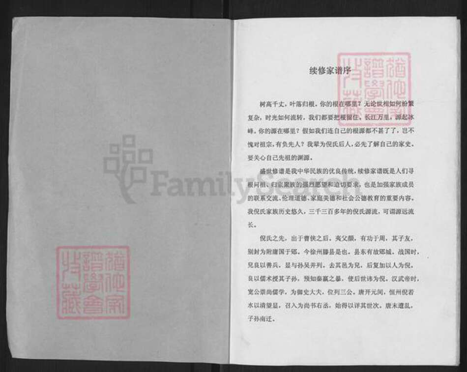 上海市崇明区堡镇倪氏族谱-倪氏家谱.pdf电子版预览图1