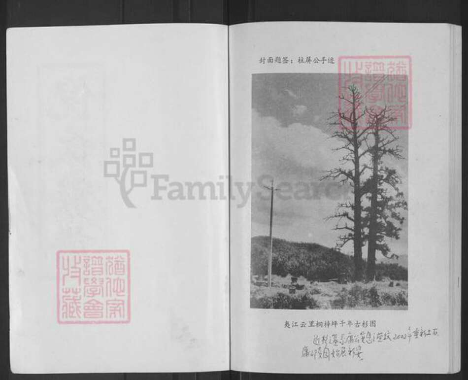 湖南省邵阳市新宁县倪氏锄经堂族谱-倪氏族谱.pdf电子版预览图1