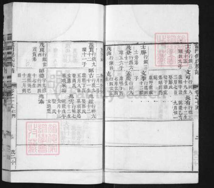 浙江省金华市婺城区倪氏族谱-龙门倪氏族谱.pdf电子版预览图4