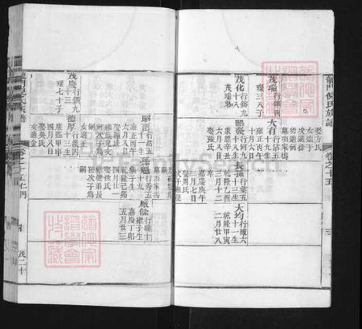 浙江省金华市婺城区倪氏族谱-龙门倪氏族谱.pdf电子版预览图5