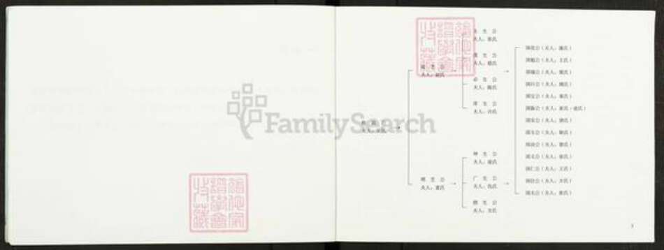 江苏省扬州市高邮市龙虬镇倪氏千乘堂族谱-倪氏家谱.pdf电子版预览图3