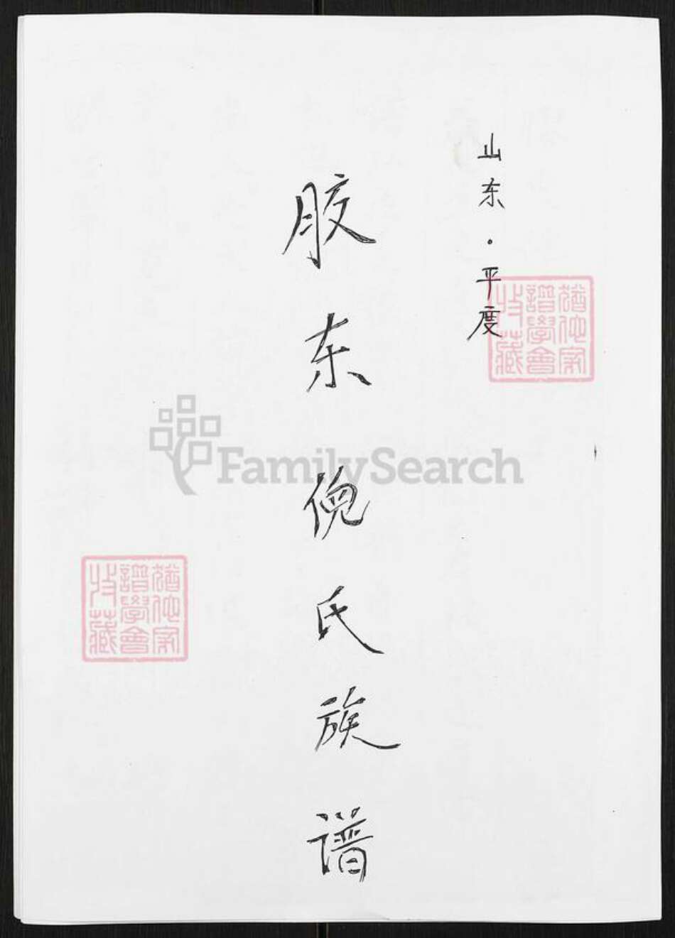 山东省青岛市平度市倪氏族谱-胶东倪氏族谱.pdf电子版缩略图