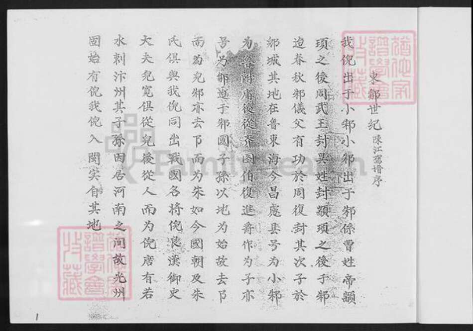 福建省泉州市安溪县倪氏族谱-清溪倪氏族谱.pdf电子版预览图4