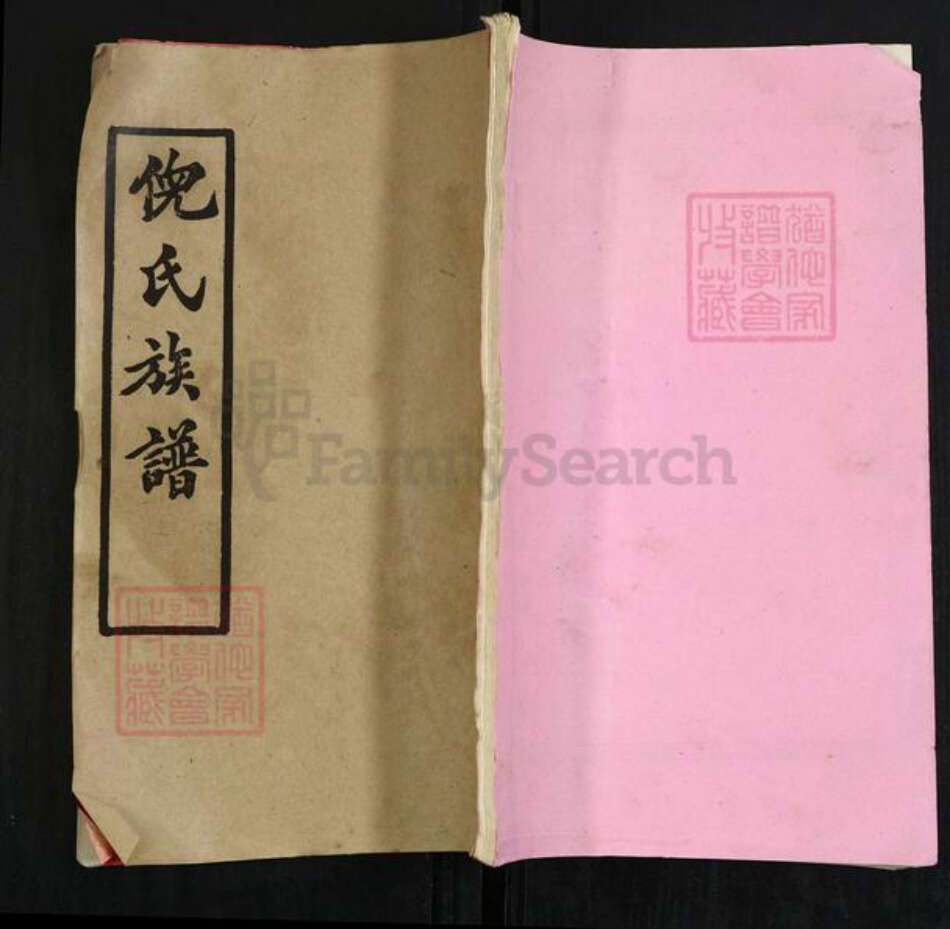 湖北省黄冈市英山县温泉镇倪氏重光堂族谱-倪氏族谱.pdf电子版缩略图