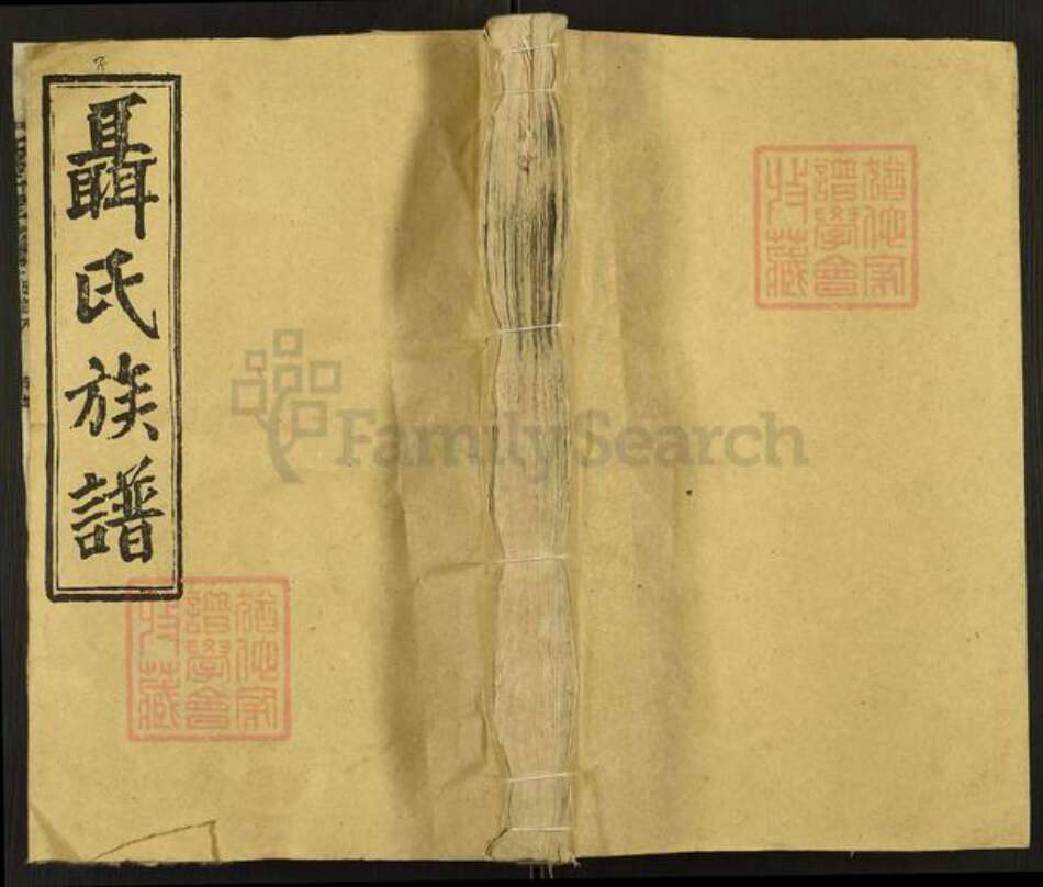 湖南省湘潭市湘乡市栗山镇聂氏崇礼堂族谱-聂氏族谱.pdf电子版缩略图