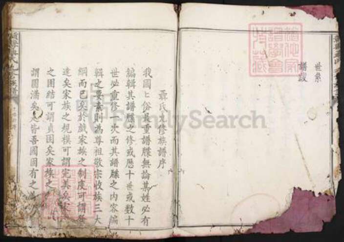 江西省赣州市赣县区聂氏族谱-赣县聂氏九修族谱.pdf电子版预览图4