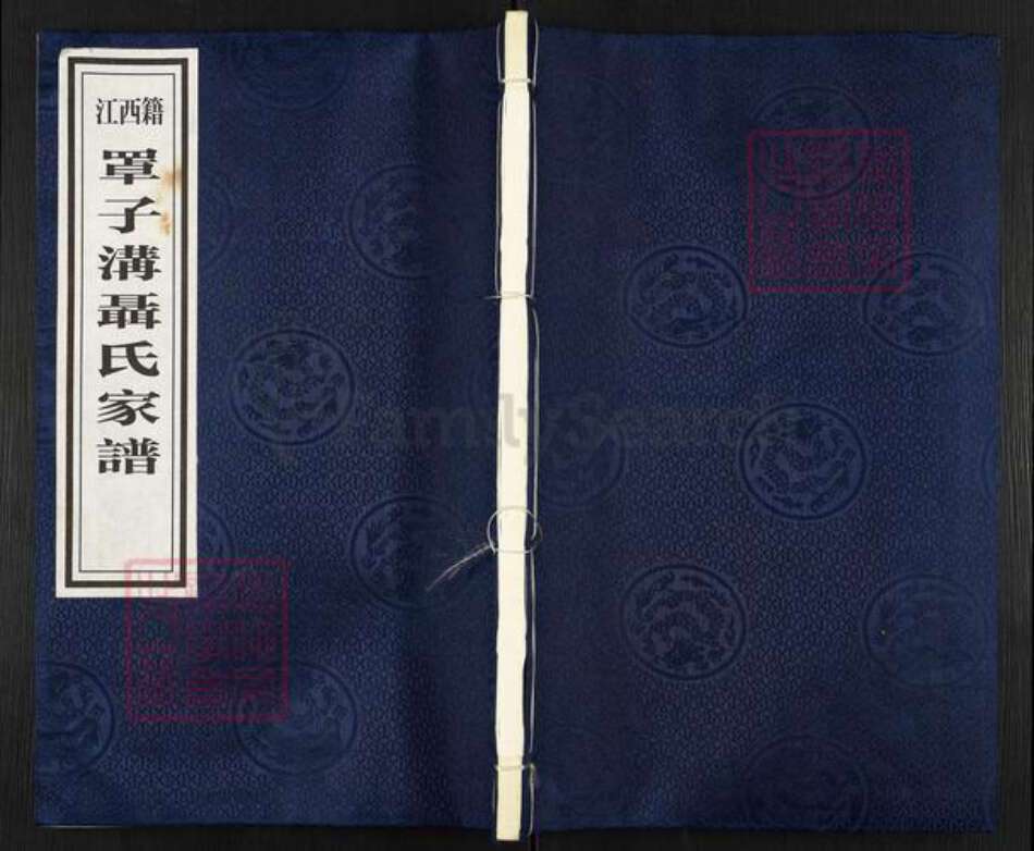 贵州省毕节市纳雍县维新镇聂氏三礼堂族谱-江西籍罩子沟聂氏家谱.pdf电子版缩略图