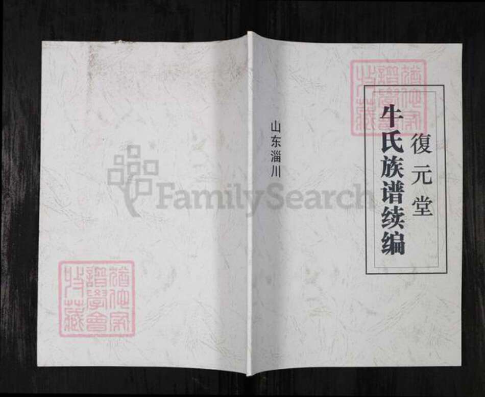 山东省淄博市淄川区牛氏族谱-复元堂牛氏族谱续编.pdf电子版缩略图
