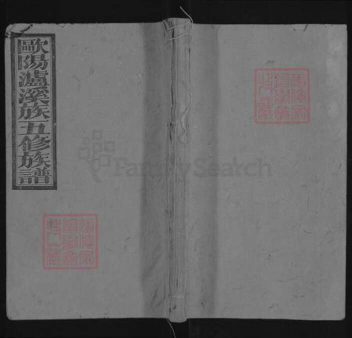 湖南省邵阳市隆回县欧阳氏族谱-邵阳泸溪欧阳氏五修族谱.pdf电子版缩略图