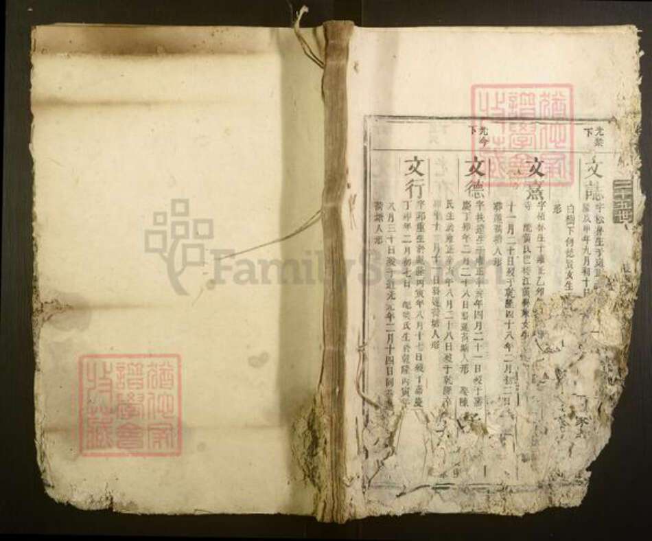 湖南省永州市欧阳氏族谱-欧阳氏族谱.pdf电子版缩略图