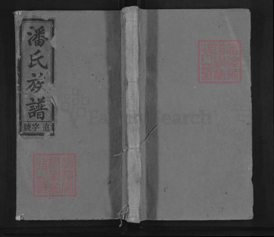 安徽省安庆市太湖县潘氏仁育堂族谱-潘氏族谱.pdf电子版缩略图