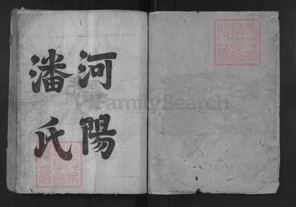 安徽省黄山市屯溪区屯光镇潘氏族谱-河阳潘氏流光宗谱.pdf电子版预览图1